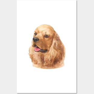 American Cocker Spaniel Watercolor Art Posters and Art